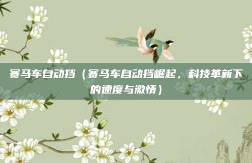 赛马车自动挡（赛马车自动挡崛起，科技革新下的速度与激情）