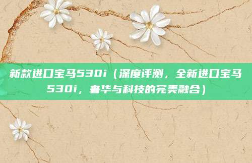 新款进口宝马530i（深度评测，全新进口宝马530i，奢华与科技的完美融合）