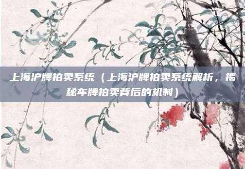 上海沪牌拍卖系统（上海沪牌拍卖系统解析，揭秘车牌拍卖背后的机制）