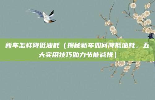 新车怎样降低油耗（揭秘新车如何降低油耗，五大实用技巧助力节能减排）