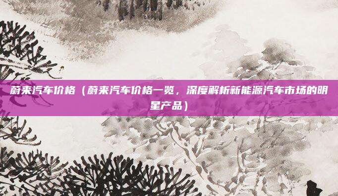 蔚来汽车价格（蔚来汽车价格一览，深度解析新能源汽车市场的明星产品）