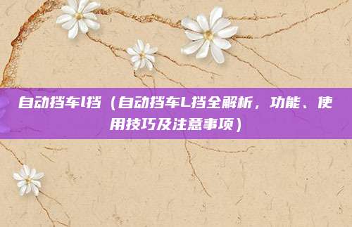 自动挡车l挡（自动挡车L挡全解析，功能、使用技巧及注意事项）