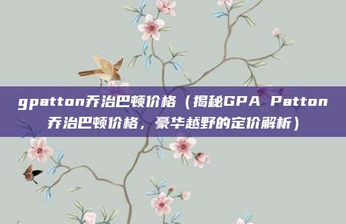 gpatton乔治巴顿价格（揭秘GPA Patton乔治巴顿价格，豪华越野的定价解析）