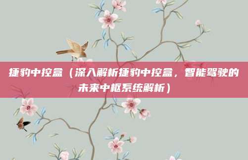 捷豹中控盒（深入解析捷豹中控盒，智能驾驶的未来中枢系统解析）