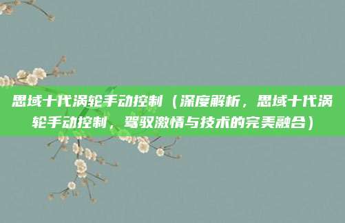 思域十代涡轮手动控制（深度解析，思域十代涡轮手动控制，驾驭激情与技术的完美融合）