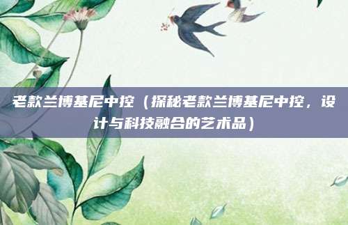老款兰博基尼中控（探秘老款兰博基尼中控，设计与科技融合的艺术品）