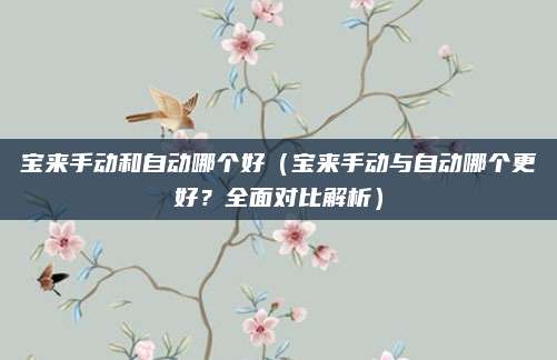 宝来手动和自动哪个好（宝来手动与自动哪个更好？全面对比解析）