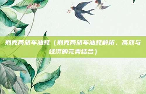 别克商旅车油耗（别克商旅车油耗解析，高效与经济的完美结合）