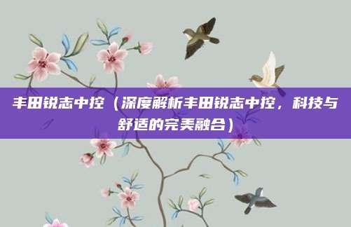 丰田锐志中控（深度解析丰田锐志中控，科技与舒适的完美融合）