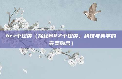 brz中控屏（探秘BRZ中控屏，科技与美学的完美融合）