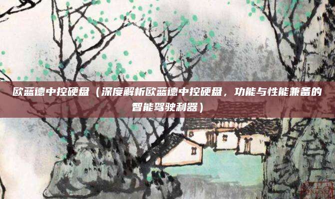 欧蓝德中控硬盘（深度解析欧蓝德中控硬盘，功能与性能兼备的智能驾驶利器）