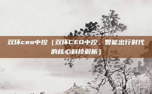 双环ceo中控（双环CEO中控，智能出行时代的核心科技解析）