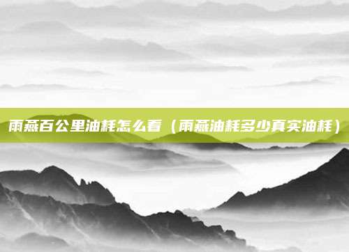 雨燕百公里油耗怎么看(雨燕油耗多少真实油耗)