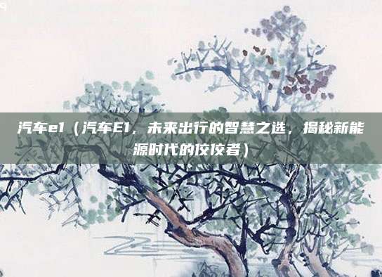汽车e1（汽车E1，未来出行的智慧之选，揭秘新能源时代的佼佼者）