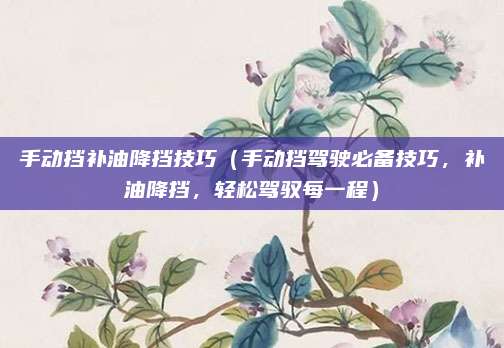 手动挡补油降挡技巧（手动挡驾驶必备技巧，补油降挡，轻松驾驭每一程）