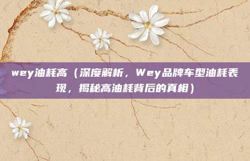 wey油耗高（深度解析，Wey品牌车型油耗表现，揭秘高油耗背后的真相）