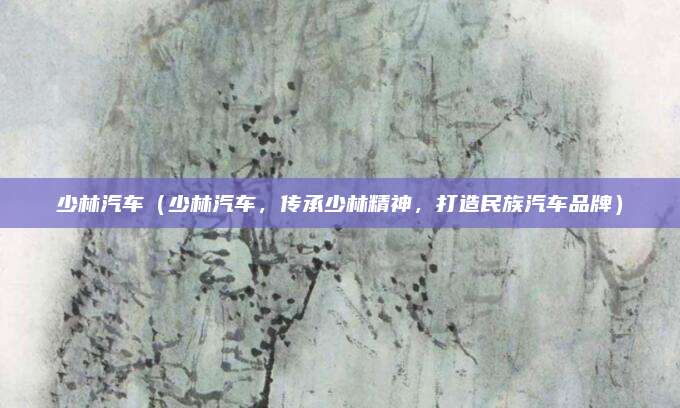 少林汽车（少林汽车，传承少林精神，打造民族汽车品牌）