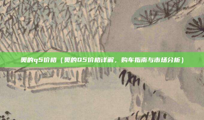 奥的q5价格（奥的Q5价格详解，购车指南与市场分析）