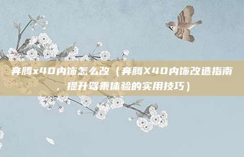 奔腾x40内饰怎么改（奔腾X40内饰改造指南，提升驾乘体验的实用技巧）