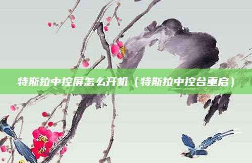 特斯拉中控屏怎么开机(特斯拉中控台重启)