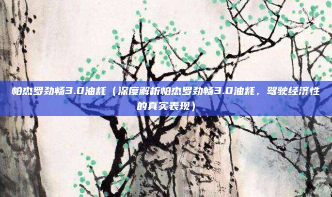 帕杰罗劲畅3.0油耗（深度解析帕杰罗劲畅3.0油耗，驾驶经济性的真实表现）