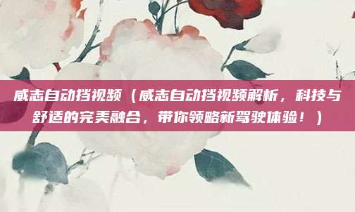 威志自动挡视频（威志自动挡视频解析，科技与舒适的完美融合，带你领略新驾驶体验！）