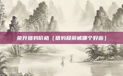 荣升猎豹价格(猎豹和荣威哪个好些)