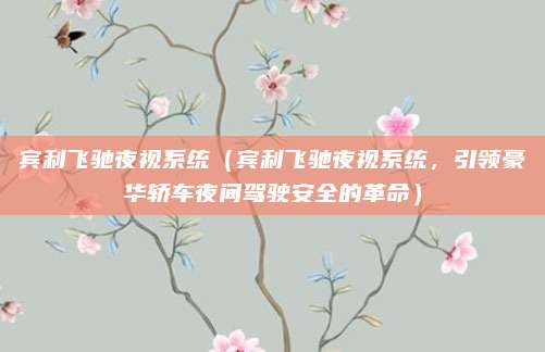 宾利飞驰夜视系统（宾利飞驰夜视系统，引领豪华轿车夜间驾驶安全的革命）