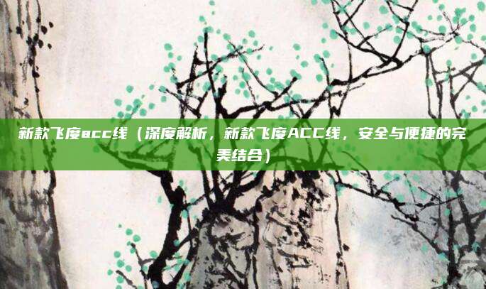 新款飞度acc线（深度解析，新款飞度ACC线，安全与便捷的完美结合）
