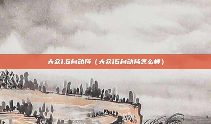 大众1.6自动挡(大众16自动挡怎么样)