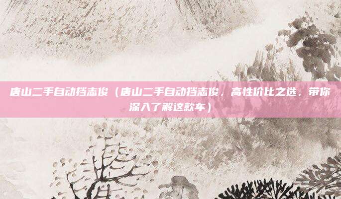 唐山二手自动挡志俊（唐山二手自动挡志俊，高性价比之选，带你深入了解这款车）
