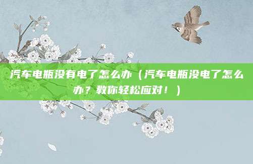 汽车电瓶没有电了怎么办（汽车电瓶没电了怎么办？教你轻松应对！）