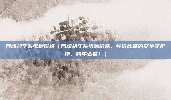 自动刹车系统标价格（自动刹车系统标价格，性价比高的安全守护神，购车必看！）