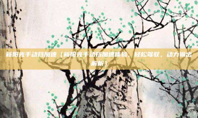 新阳光手动挡加速（新阳光手动挡加速体验，轻松驾驭，动力输出解析）