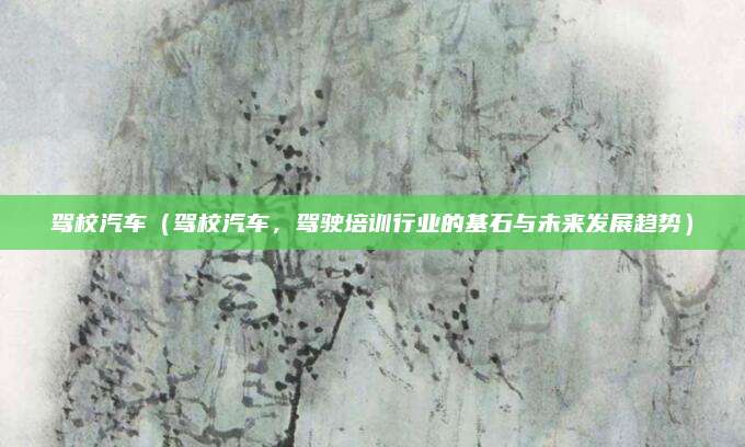 驾校汽车（驾校汽车，驾驶培训行业的基石与未来发展趋势）