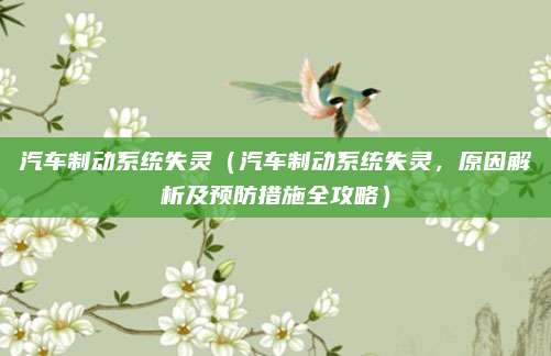 汽车制动系统失灵（汽车制动系统失灵，原因解析及预防措施全攻略）