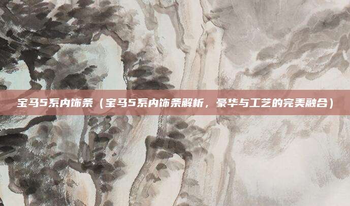 宝马5系内饰条（宝马5系内饰条解析，豪华与工艺的完美融合）