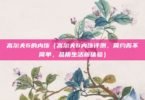 高尔夫6的内饰（高尔夫6内饰评测，简约而不简单，品质生活新体验）