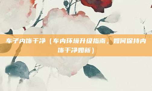 车子内饰干净（车内环境升级指南，如何保持内饰干净如新）