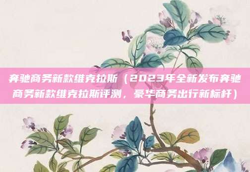奔驰商务新款维克拉斯（2023年全新发布奔驰商务新款维克拉斯评测，豪华商务出行新标杆）
