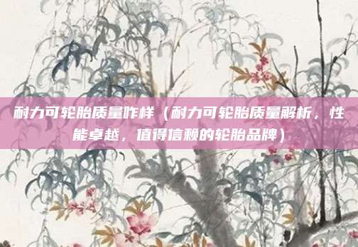 耐力可轮胎质量咋样（耐力可轮胎质量解析，性能卓越，值得信赖的轮胎品牌）