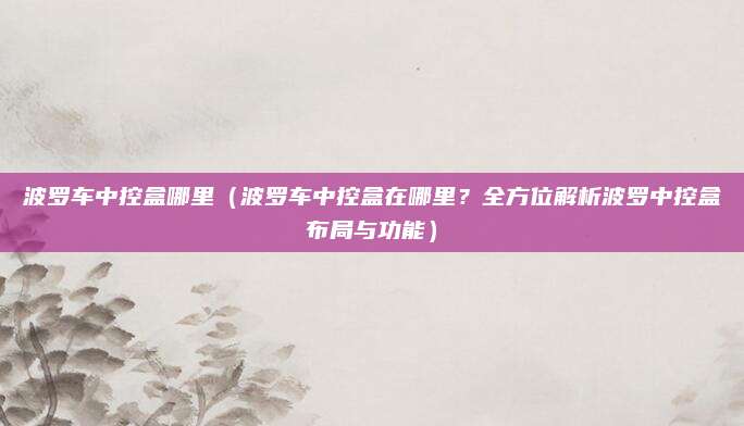 波罗车中控盒哪里（波罗车中控盒在哪里？全方位解析波罗中控盒布局与功能）