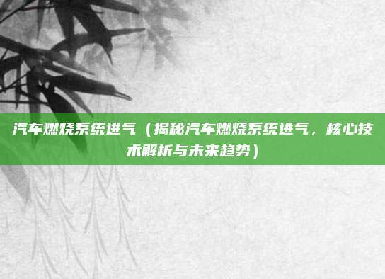 汽车燃烧系统进气（揭秘汽车燃烧系统进气，核心技术解析与未来趋势）