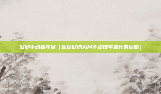 欧洲手动挡车多（揭秘欧洲为何手动挡车盛行的秘密）