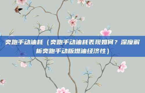 奕跑手动油耗（奕跑手动油耗表现如何？深度解析奕跑手动版燃油经济性）