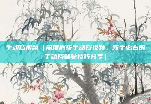手动挡视频（深度解析手动挡视频，新手必看的手动挡驾驶技巧分享）