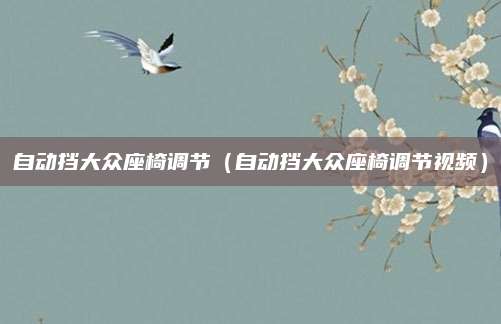 自动挡大众座椅调节(自动挡大众座椅调节视频)