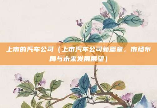 上市的汽车公司（上市汽车公司新篇章，市场布局与未来发展展望）