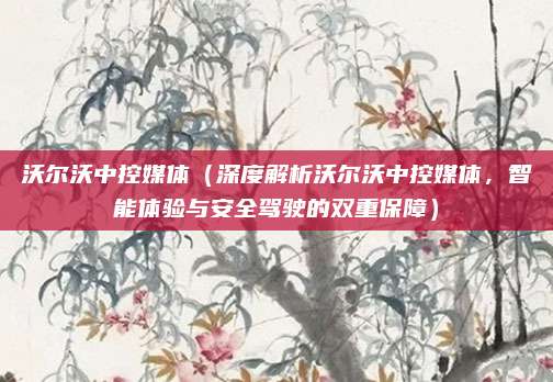 沃尔沃中控媒体（深度解析沃尔沃中控媒体，智能体验与安全驾驶的双重保障）