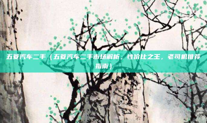 五菱汽车二手（五菱汽车二手市场解析，性价比之王，老司机推荐指南）